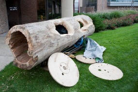 Carved hollow log with wood circles.